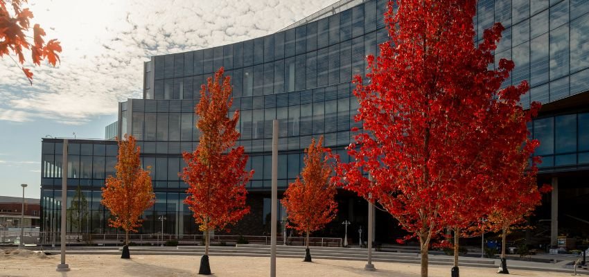 British Airways Headquarters – Corporate Head Office in UK